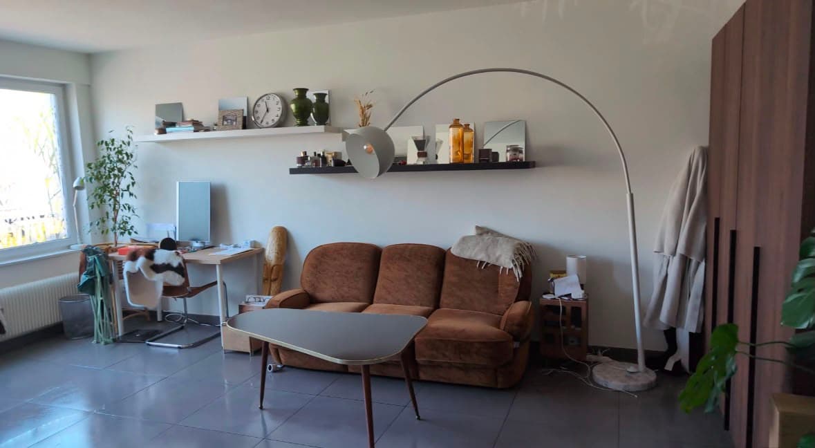 Charming 1-Bedroom Apartment with Mid-Century Accent - Basel